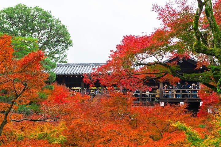 Autumn Kyoto Day Tour: Uji, Fushimi Inari & Tofukuji Fall Foliage photo 1