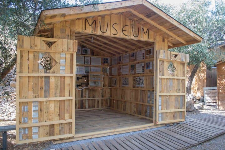 Beekeeping and Honey Stories in Itea — Apiary Tour Near Delphi photo 6