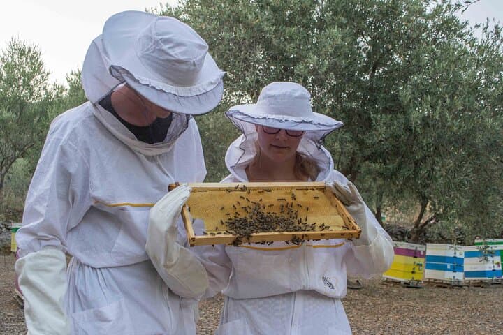 Beekeeping and Honey Stories in Itea — Apiary Tour Near Delphi