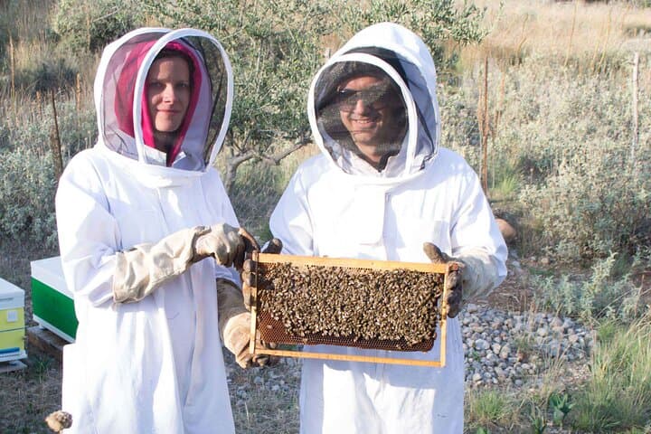 Beekeeping and Honey Stories in Itea — Apiary Tour Near Delphi photo 2
