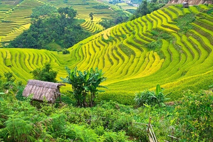 Mai Chau Full-Day Cultural Escape from Hanoi: Rice Paddies, Stilt Houses & Cycling