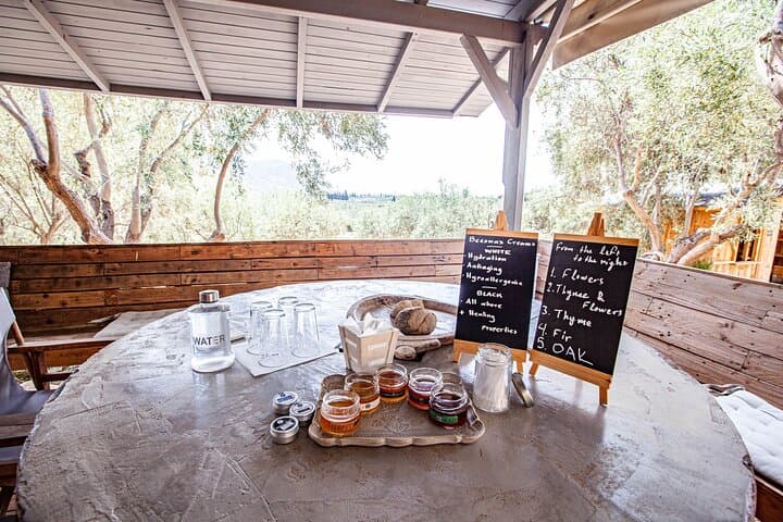 Beekeeping and Honey Stories in Itea — Apiary Tour Near Delphi photo 3