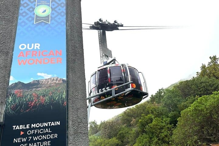 Private Full-Day: Table Mountain, Boulders Beach & Cape Point