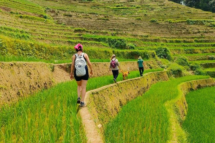 Full-Day Private Trek Through Mu Cang Chai Rice Terraces photo 5