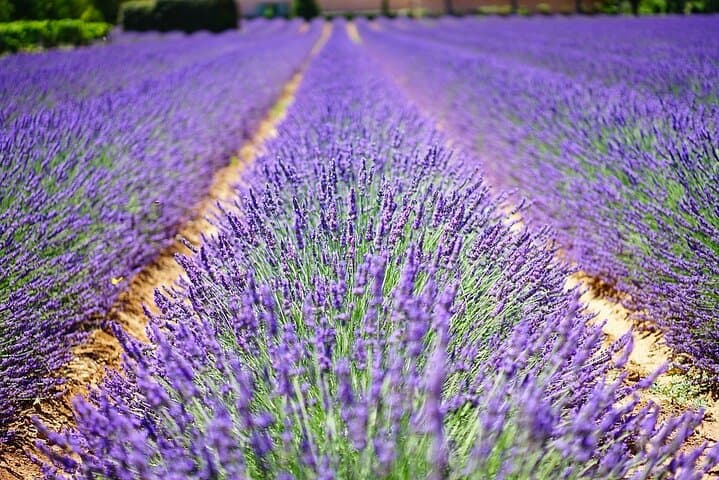 Norfolk Broads & Coast Road Trip: Self-Guided Itinerary from Norwich to King’s Lynn photo 5