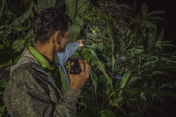 Arenal Night Walk: Guided Biological Reserve Nocturnal Wildlife Tour photo 6