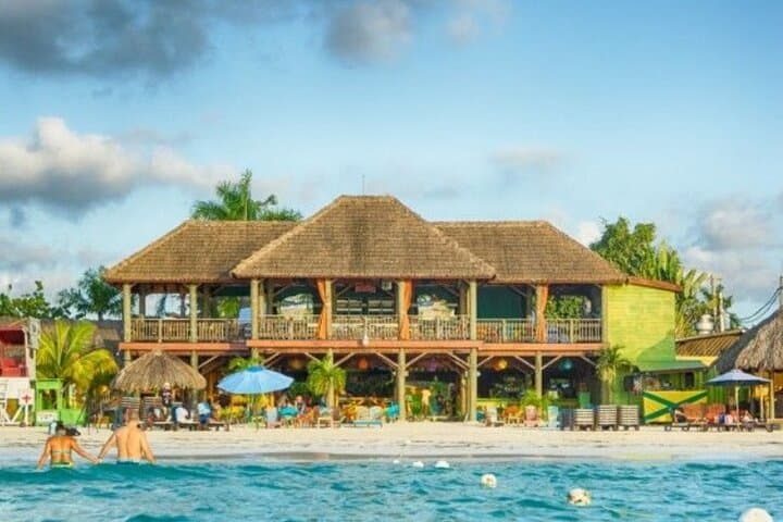 Experience the Magic of Negril: Seven Mile Beach and Rick's Cafe Adventure photo 6