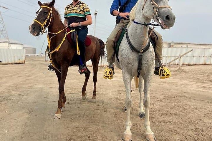 Doha Desert Safari: Quad Biking, Camel & Horse Ride - Private Half-Day Tour photo 3