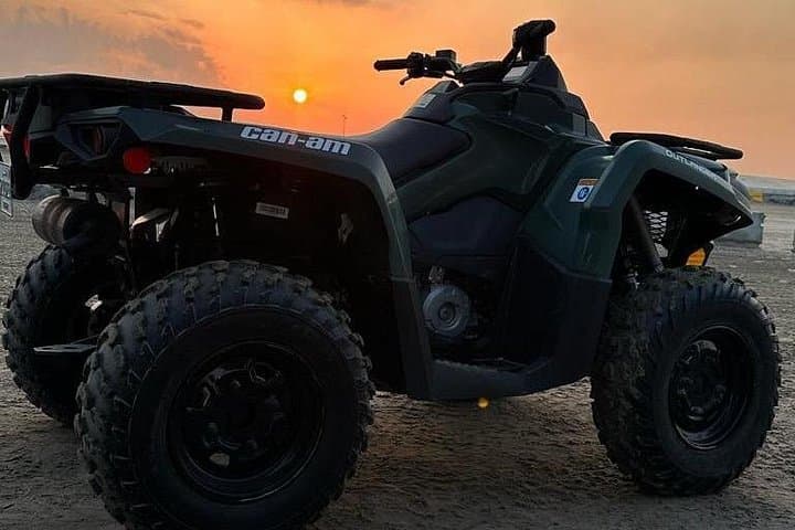 Doha Desert Safari: Quad Biking, Camel & Horse Ride - Private Half-Day Tour photo 4