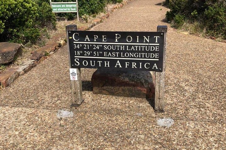 Table Mountain to Cape Point: Full-Day Cape Town Tour with Boulders Penguins