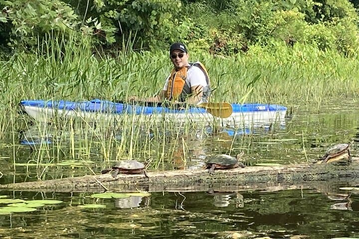 Petrie Island Kayak Tour — Turtle Watching on Ottawa's Ecological Reserve photo 5