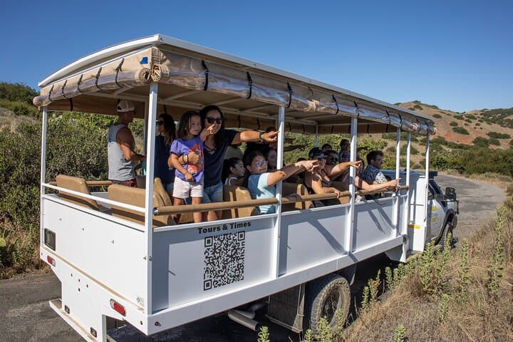 Inside Catalina: 2-Hour Eco Safari to Airport-in-the-Sky photo 2