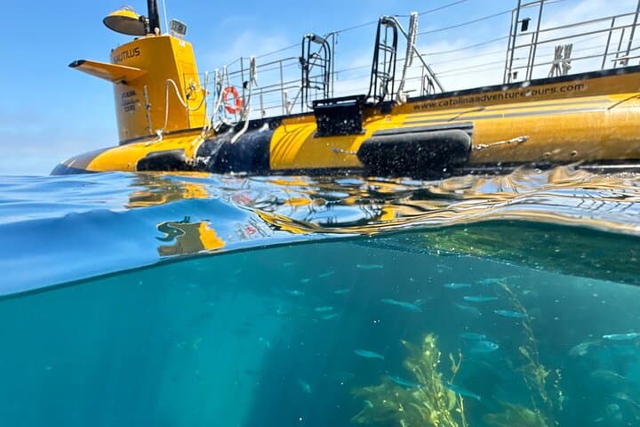 Avalon Semi-Submarine SS Nautilus Undersea Tour — Catalina Island Adventure photo 1