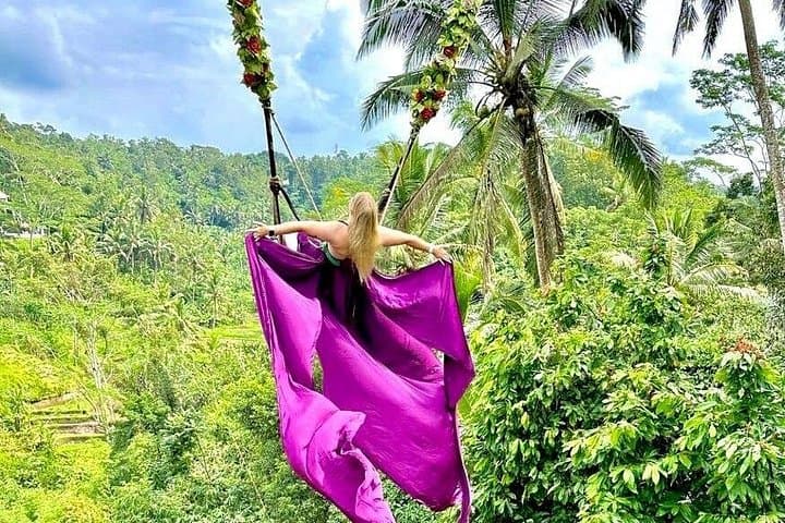 Ubud Day Tour: Tirta Empul, Tegalalang Rice Terrace & Waterfall photo 1