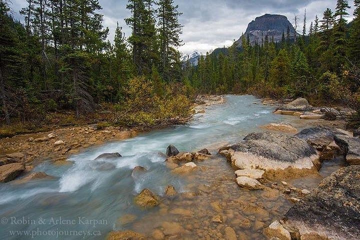 Yoho National Park Day Tour: Takakkaw Falls, Emerald Lake & Marble Canyon photo 3