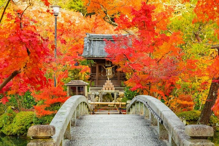 Autumn Colors in Kyoto: Nanzenji, Eikando and Ginkakuji Private Tour photo 2