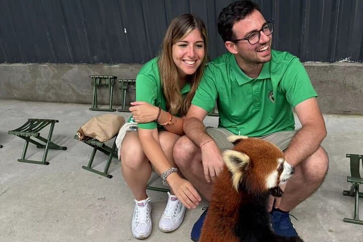 Dujiangyan Panda Park Day Tour: Up-Close Encounters with Giant and Red Pandas