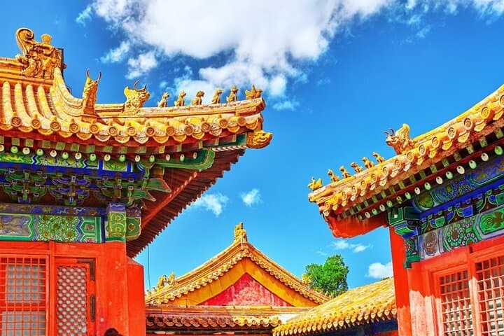 Forbidden City and Mutianyu Great Wall: Full-Day Tour from Beijing photo 3