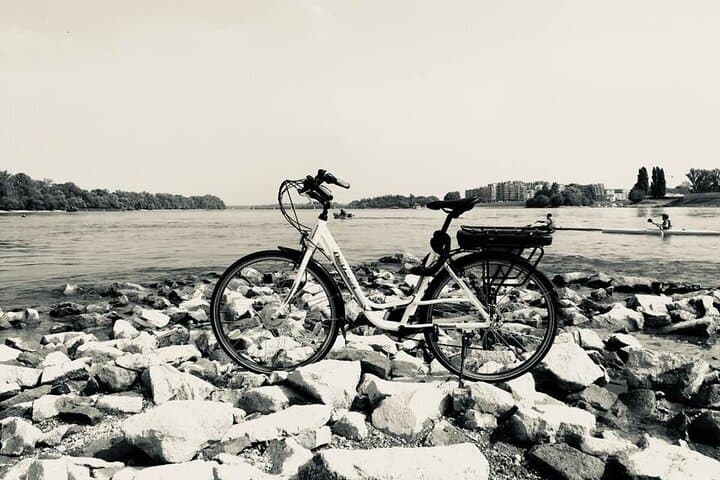 E-Bike Guided Tour of Castle Hill & Danube Sights, Budapest