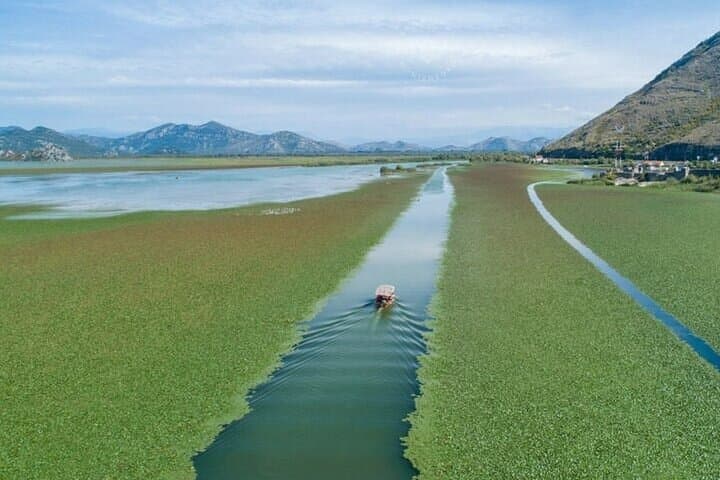 Skadar Lake Cruise from Virpazar: 2-Hour Guided Boat Tour & Birdwatching photo 3