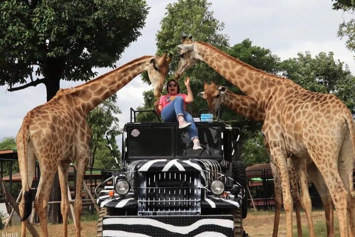 Ayutthaya Zoo & Temple Day Tour from Bangkok — Giraffe Encounters & Thai Costume Experience photo 3