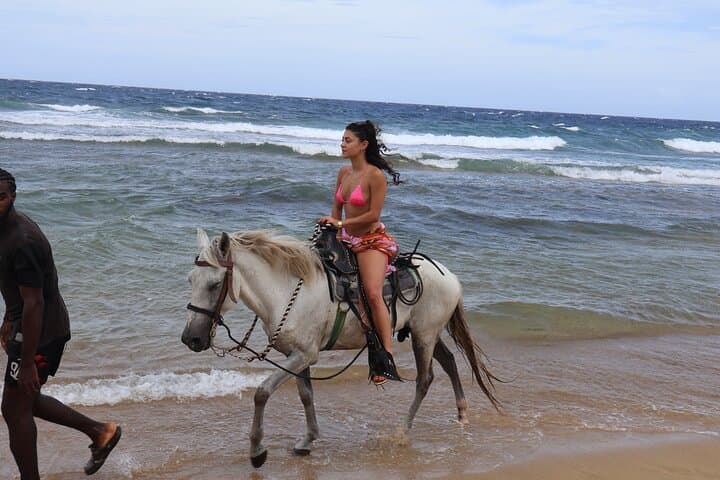 Roatán ATV, Wildlife Eco-Park & Horseback: Half-Day Jungle Adventure photo 6