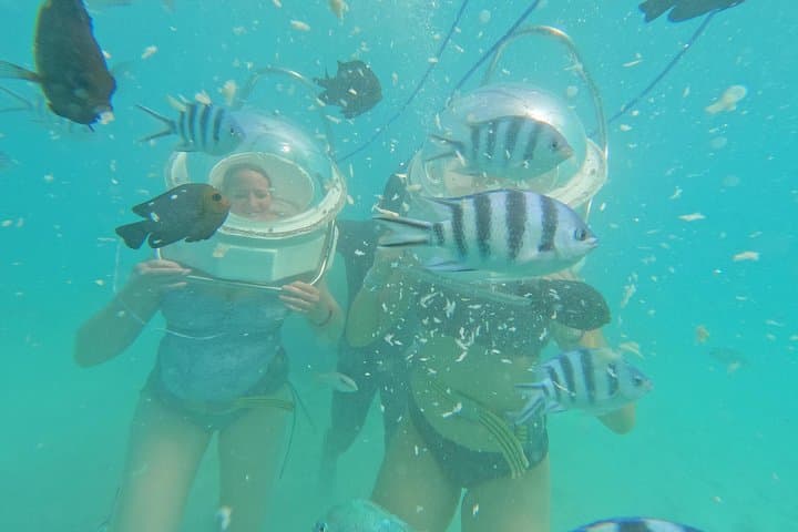 Mauritius Underwater Sea Walk and North Coast Beach Hopping from Grand Baie photo 2