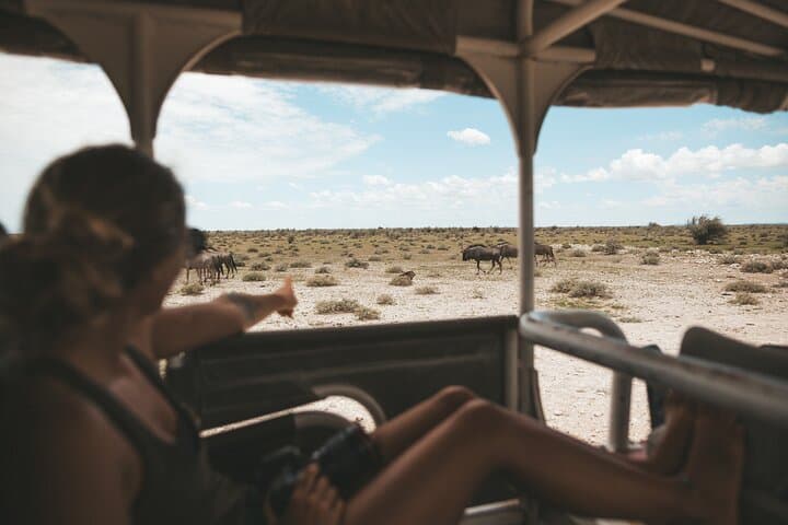 3-Day Etosha Safari from Windhoek: Game Drives, Waterholes & Etosha Pan