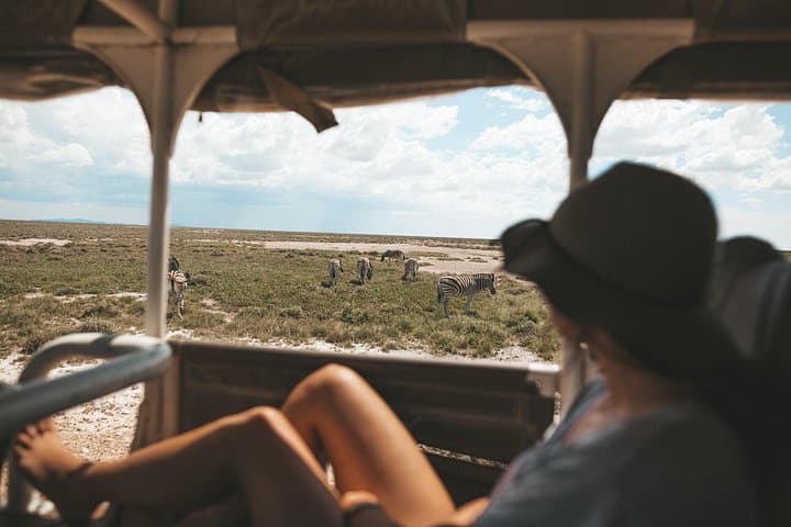 3-Day Etosha Safari from Windhoek: Game Drives, Waterholes & Etosha Pan photo 3