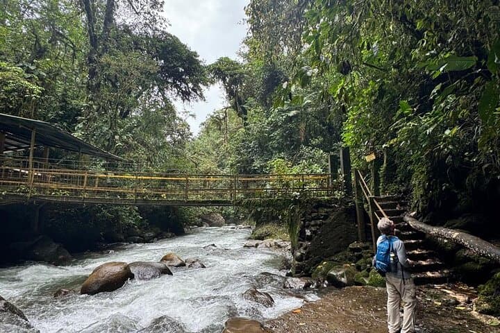 Mindo Cloud Forest Private Tour & Yumbos Chocolate Factory — Birdwatching from Quito photo 3