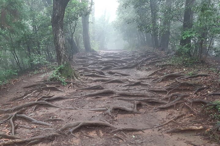 Mt. Takao Hot Spring Private Tour — Hike, Temple & Onsen Near Tokyo photo 2