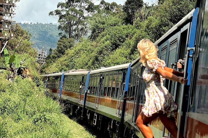 Ella Day Trip: Train Ride, Nine Arch Bridge, Little Adam's Peak & Rawana Waterfall photo 4