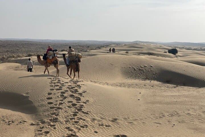 Overnight Camel Safari in the Thar: Remote Dunes, Village Visits & Starry Camp photo 4