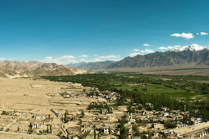 Leh Monastery Half-Day Tour: Thiksey & Hemis Monasteries, Ladakh photo 6