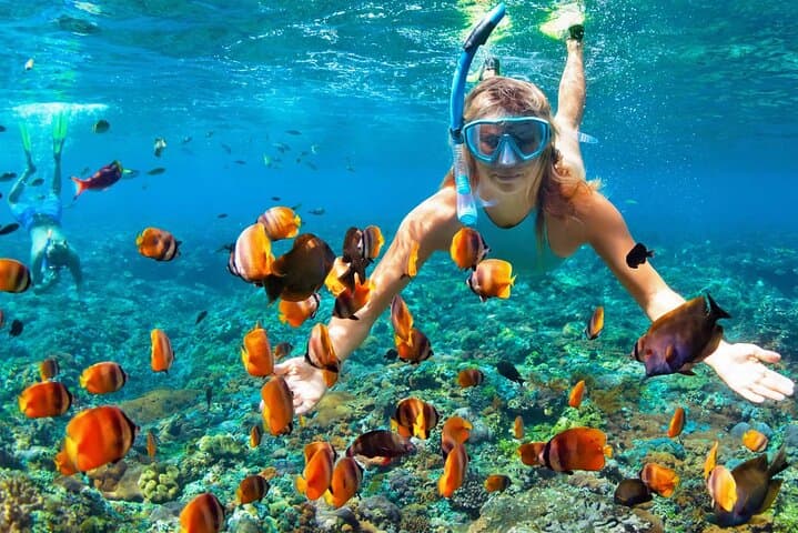 Orange Bay Snorkel Cruise from Hurghada: Coral Reefs & Beach Lunch