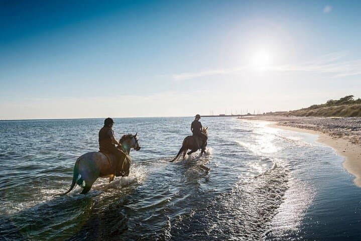 Beach Horse Ride at Nabq Bay: 1-Hour Guided Ride with Transfers in Sharm El Sheikh photo 1