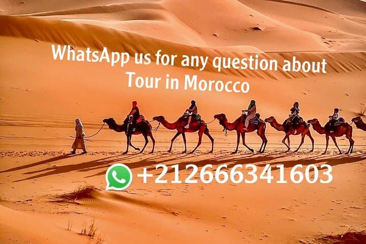 Overnight Camel Trekking in Merzouga: Luxury Camp Beneath Sahara Stars photo 1