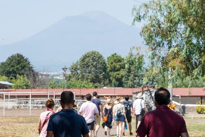 Walk Ancient Pompeii, Then Taste Vesuvius Wines: Private Tour with Lunch photo 3