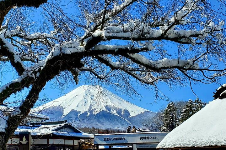 2-Day Tokyo to Mount Fuji & Hakone Private Tour — Chureito Pagoda, Lake Ashi & Hakone Ropeway photo 2