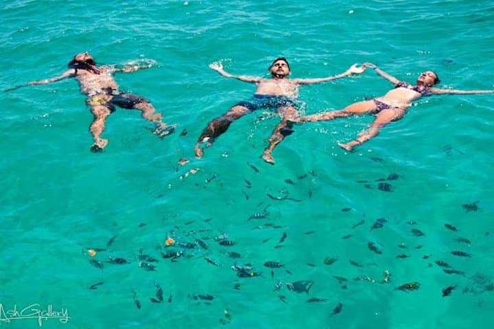 Mnemba Dolphin and Snorkel Tour from Nungwi — Mnemba Reef Marine Adventure photo 2