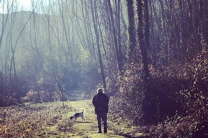 Truffle Hunting Near San Miniato: Day Trip from Florence with Pisa or Certaldo Option