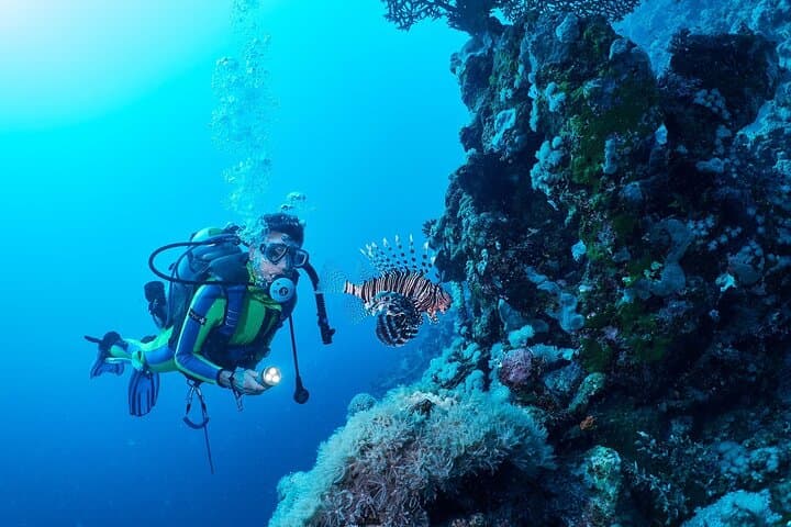 Sharm El Sheikh Beginner Scuba Diving Adventure with Lunch — Red Sea Intro Dive photo 2