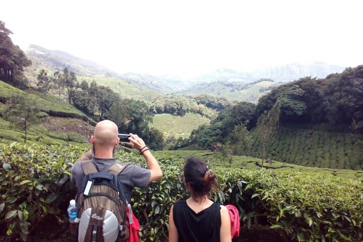 Munnar Tea Plantation Sunset Walk to Chokramudi & Pothamedu Viewpoints