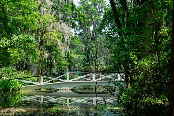 Explore Magnolia Plantation and Charleston on a Full-Day Historical Tour photo 4