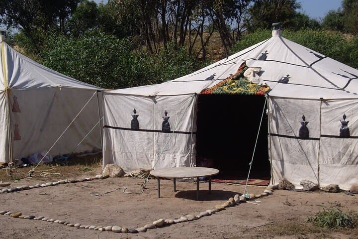 Overnight in a Berber Tent with Ocean Views Near Essaouira