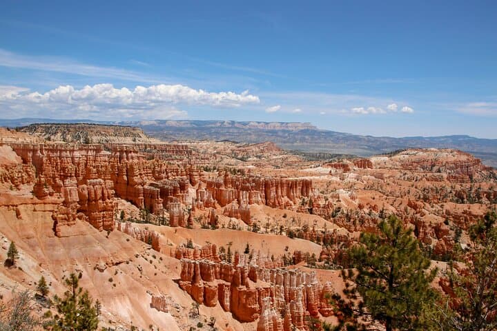 Explore Zion and Bryce Canyon: A Private Full-Day Tour from Las Vegas photo 3