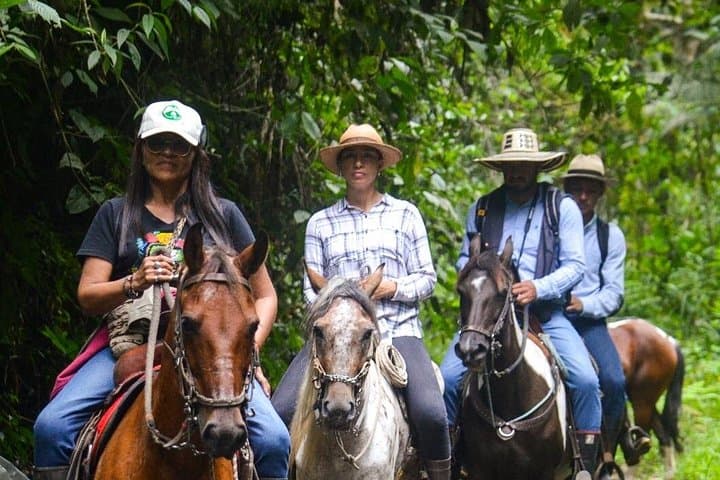 Horseback Riding in Murillo Tolima: Ecological Trails with Nevado del Ruiz Views photo 1