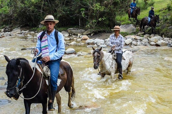 Horseback Riding in Murillo Tolima: Ecological Trails with Nevado del Ruiz Views photo 4