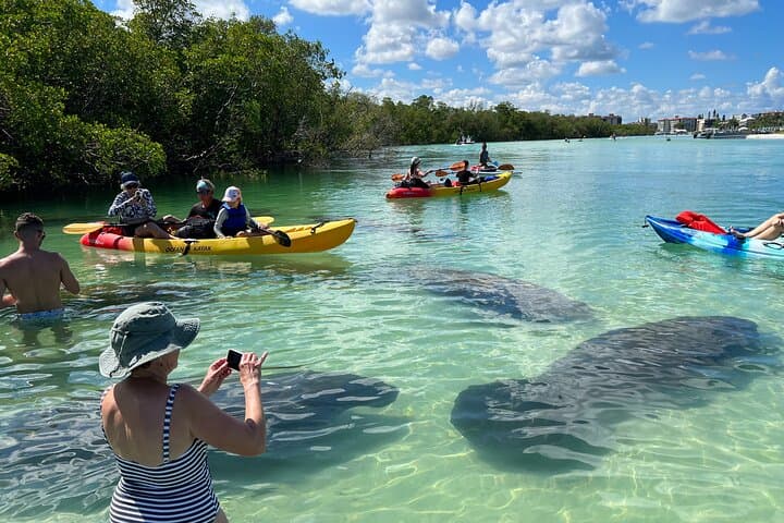 Fort Myers Beach Island Eco Tour — Kayak, SUP & Hobie Pedal Adventures photo 3