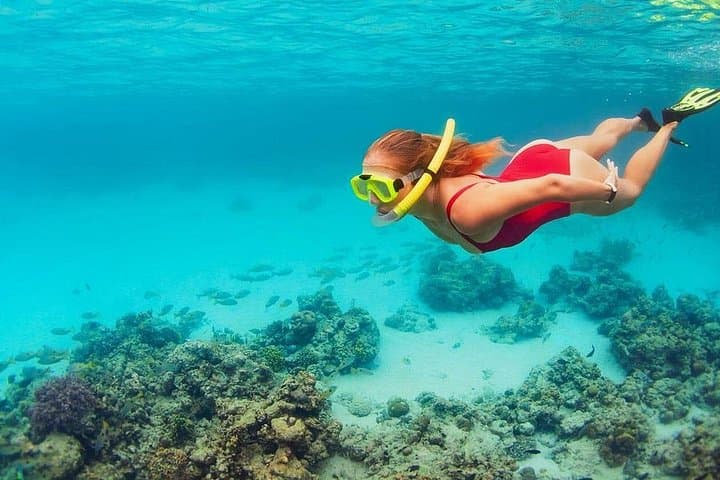 Nusa Penida West Coast Day Trip: Kelingking, Angel's Billabong & Crystal Bay photo 4